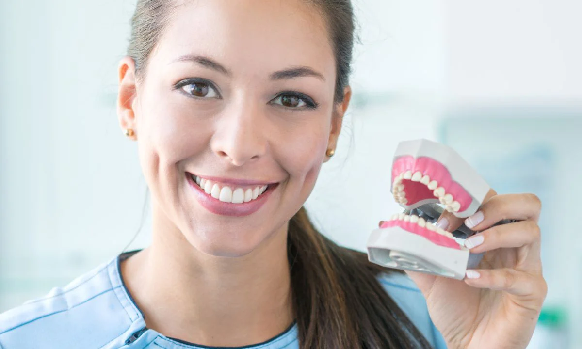 Dentist Smiling In Office